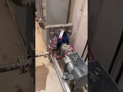 100L/মিনিট ইন্ডাস্ট্রিয়াল ডায়াফ্রাম পাম্প বৈদ্যুতিক রাসায়নিক প্রক্রিয়াকরণ পাম্প